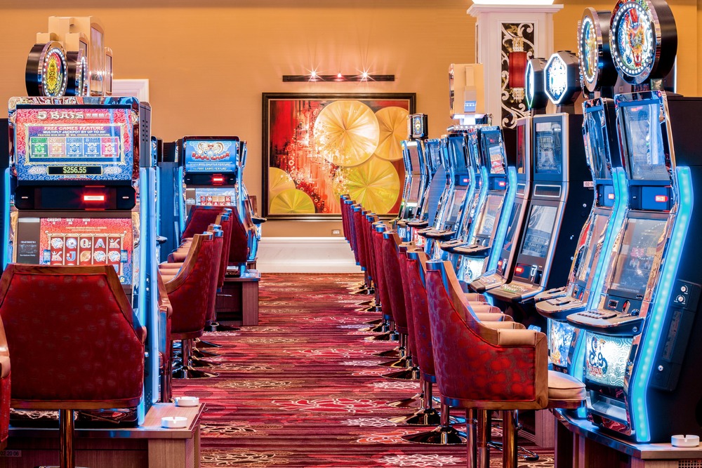 6ae9b09876e589ade5537ccf2446883f_1767008244_2084.jpeg 6ae9b09876e589ade5537ccf2446883f_1767008244_2084.jpeg