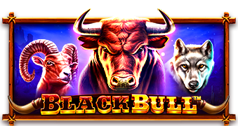 tsBlack-Bull_339x180.png