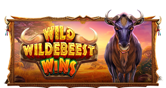 tsWILD-WILDEBEEST-WINS_339x180.png